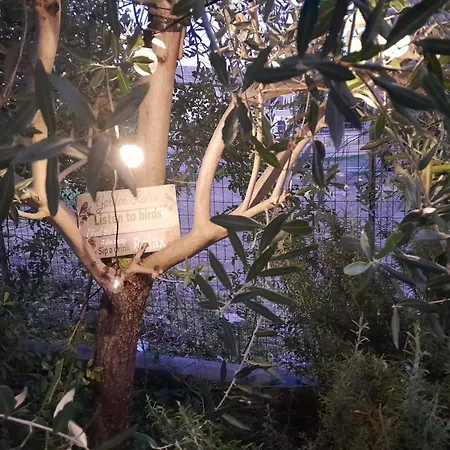 Casita Esperanza Copparo