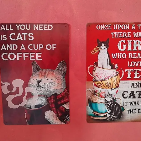 Casita Esperanza Appartement