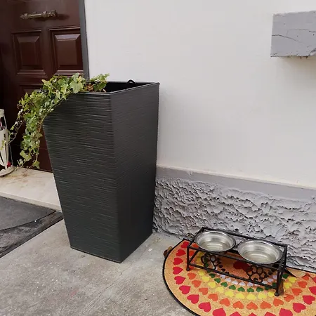 Casita Esperanza Apartmán Copparo