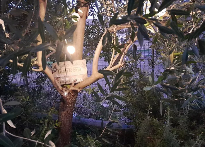 Casita Esperanza Copparo