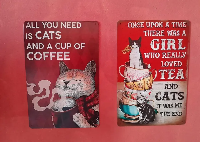 Casita Esperanza Appartement